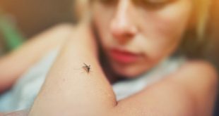 Calamuchita: confirman un caso de dengue en una persona de Villa Ciudad Parque