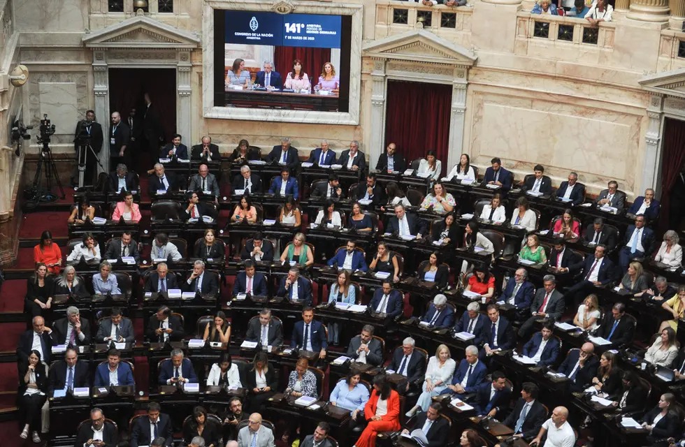 Cámara de Diputados de la Nación. (Federico López Claro / La Voz)
